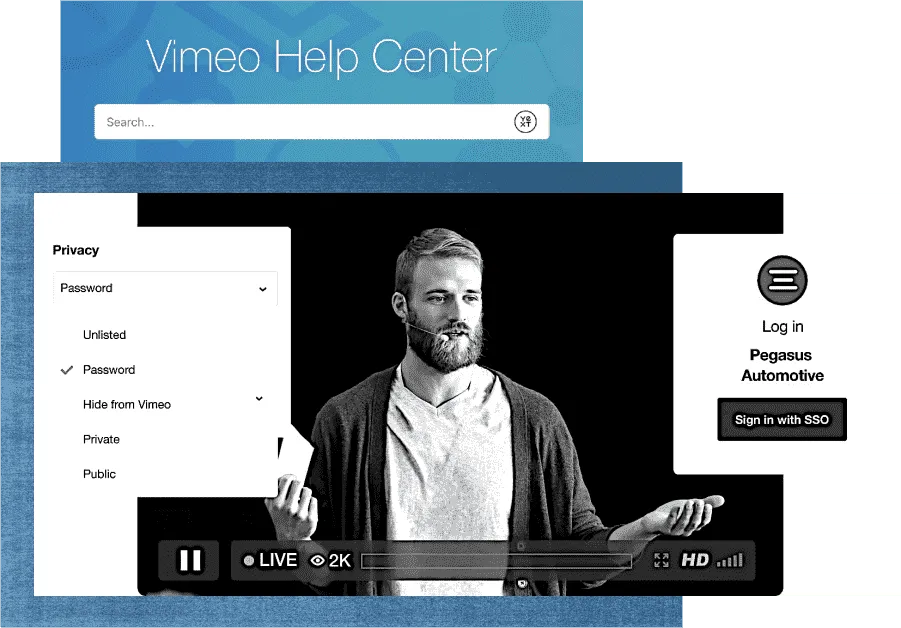 Vimeo interface